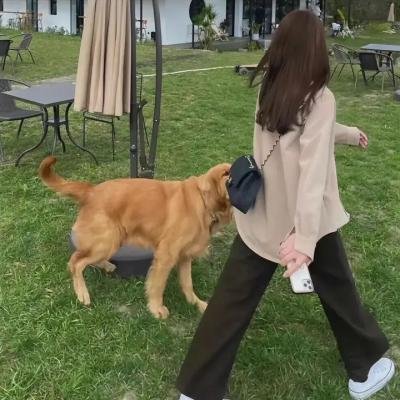 请吃红小豆吧！第四季